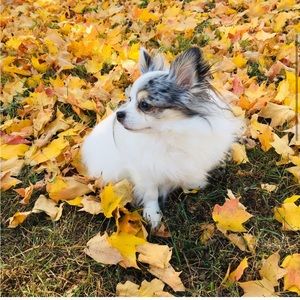 Congrats take a screenshot UNLISTED